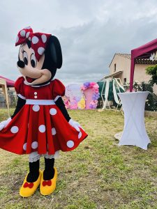 Location ,mascotte Minnie mouse pour un anniversaire