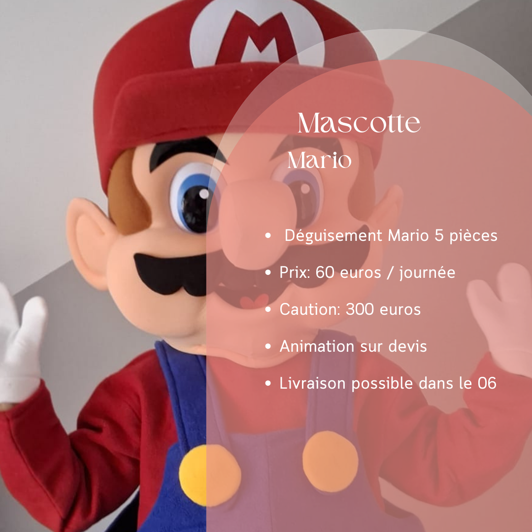 Location déguisement super Mario